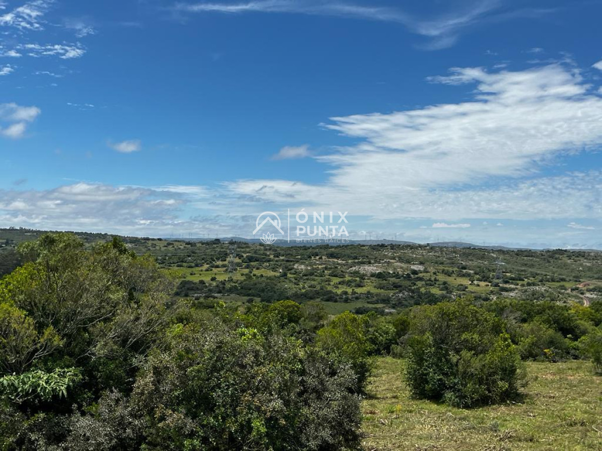 Chacra ID.302 - Chacras de 3 hectáreas cobre la ruta