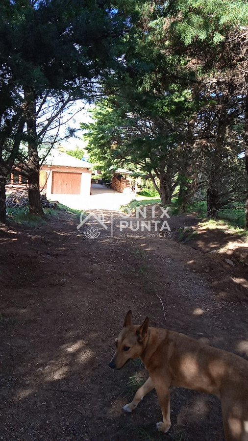 Chacra ID.384 - Esta preciosa chacra en Pueblo Edén