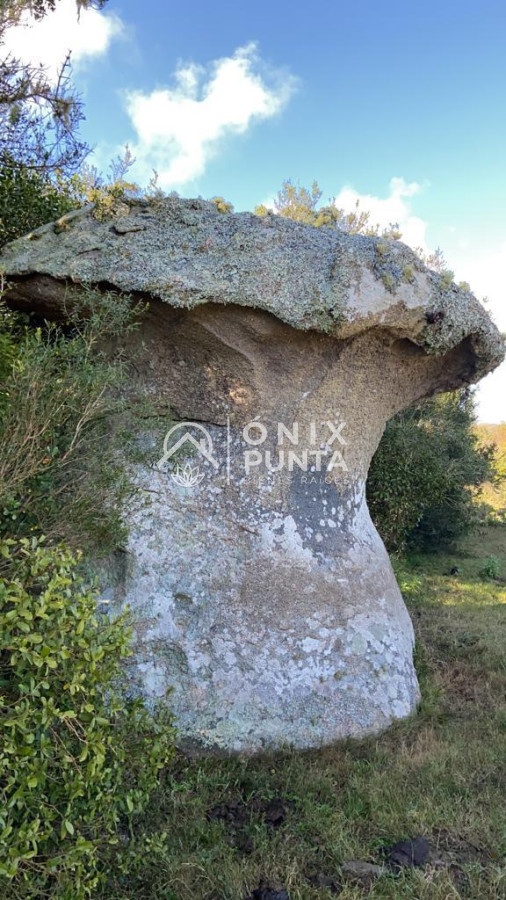 Chacra ID.302 - Chacras de 3 hectáreas cobre la ruta