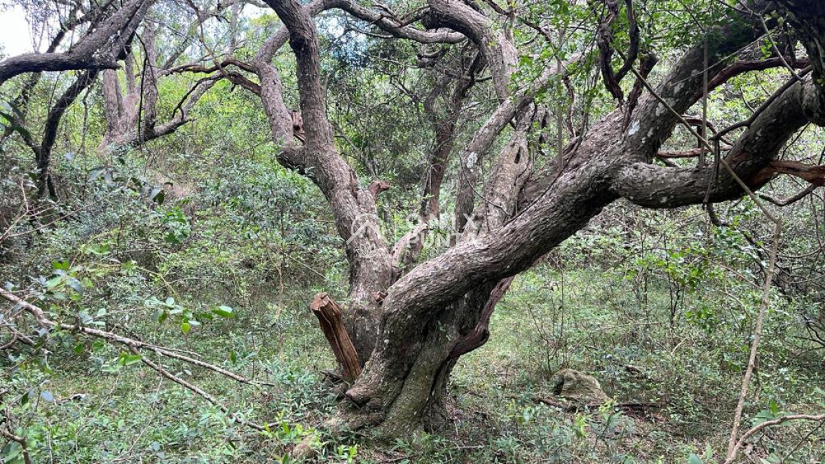 Chacra ID.302 - Chacras de 3 hectáreas cobre la ruta