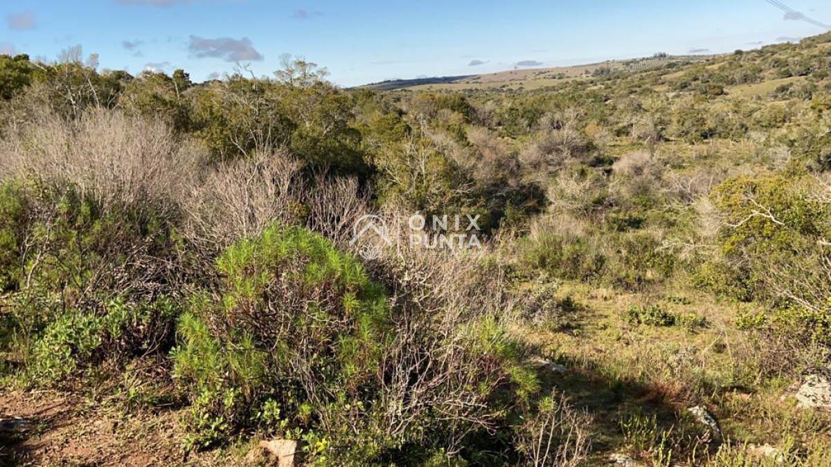 Chacra ID.302 - Chacras de 3 hectáreas cobre la ruta