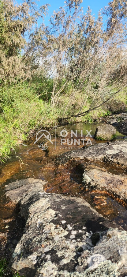 Chacra ID.384 - Esta preciosa chacra en Pueblo Edén