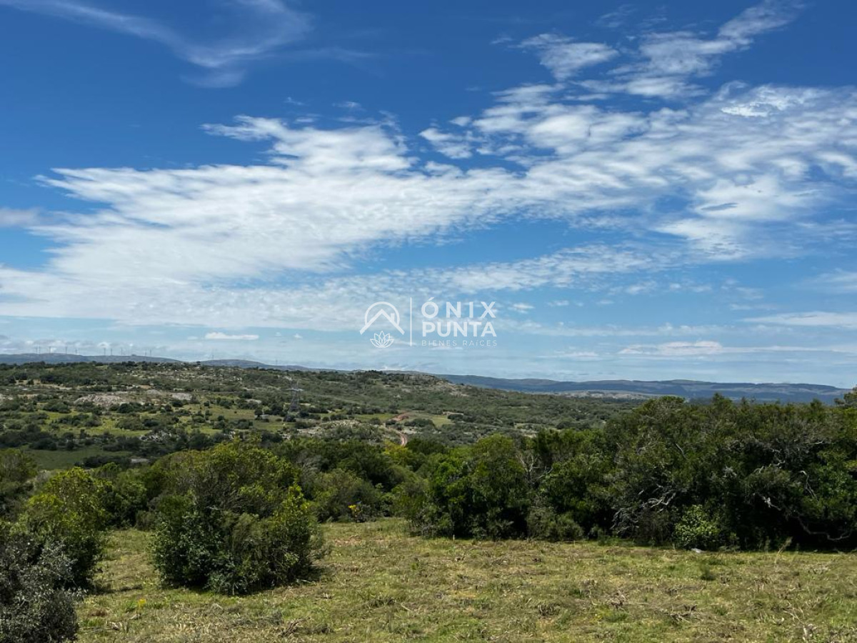 Chacra ID.302 - Chacras de 3 hectáreas cobre la ruta