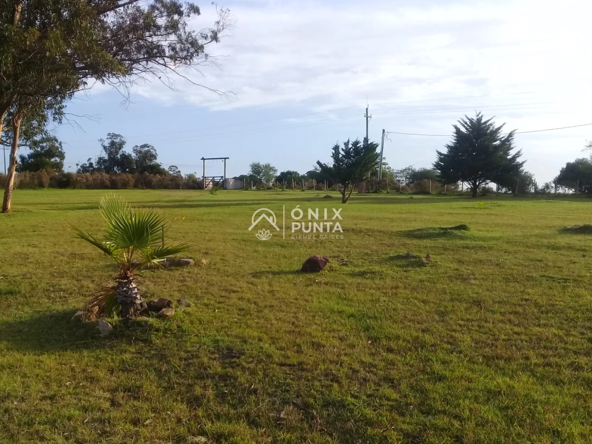 Chacra ID.171 - VENTA Chacra 5 hectáreas, Ruta 39 