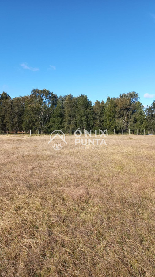 Campo Ref.76 - Excelente Oportunidad!!! Campo en Paraje Garzón