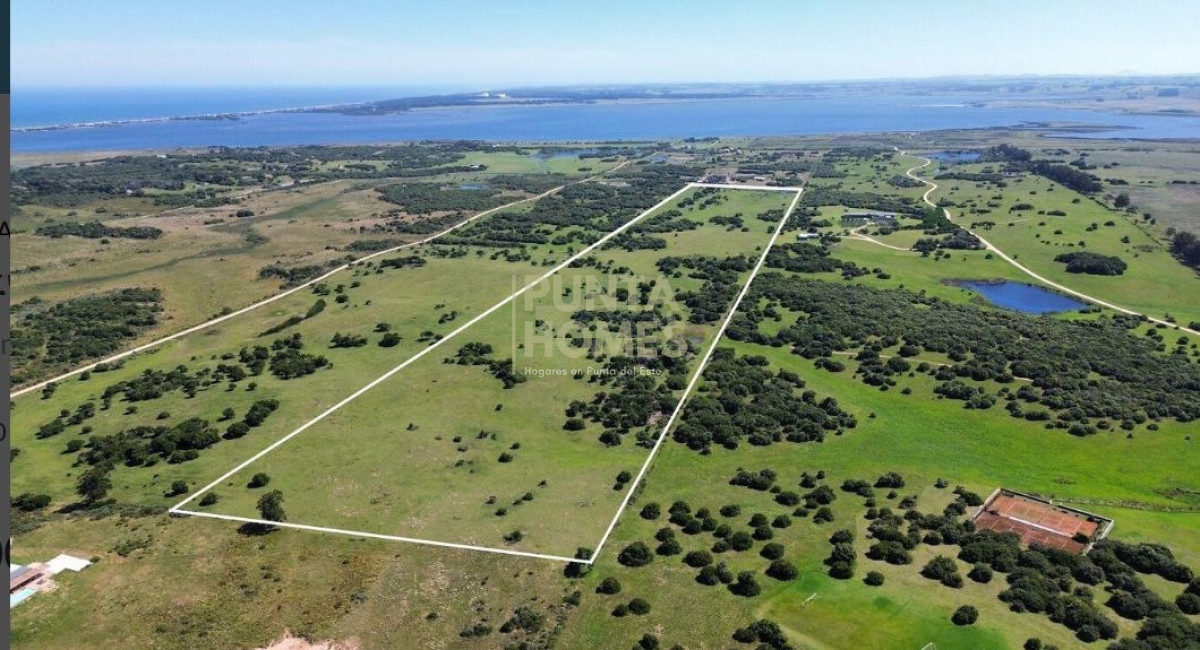 The last remaining 20-hectare strip in José Ignacio