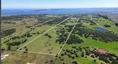 Venta Chacras en Jose Ignacio de 5 hectareas cada una
