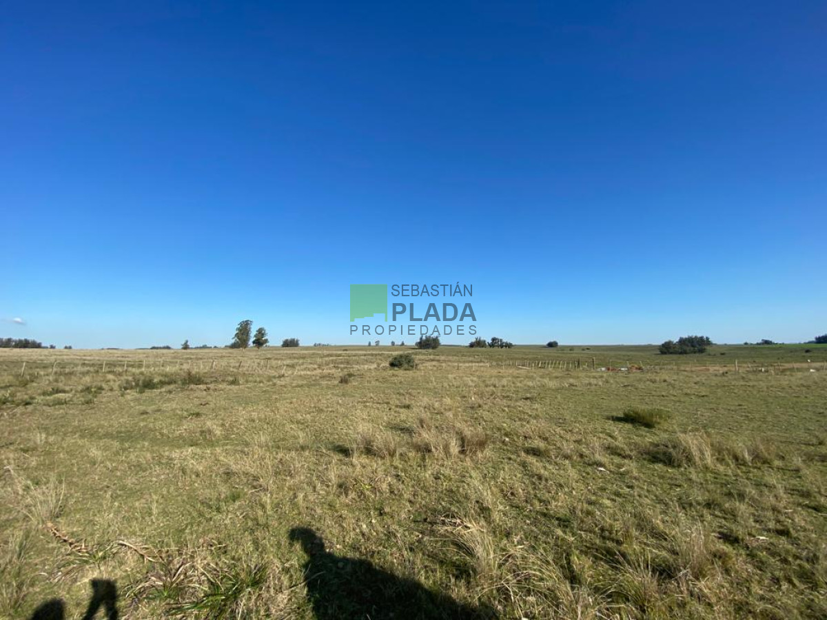 Chacra ID.976 - Fracción de 17 Hás. en Paraje José Ignacio.