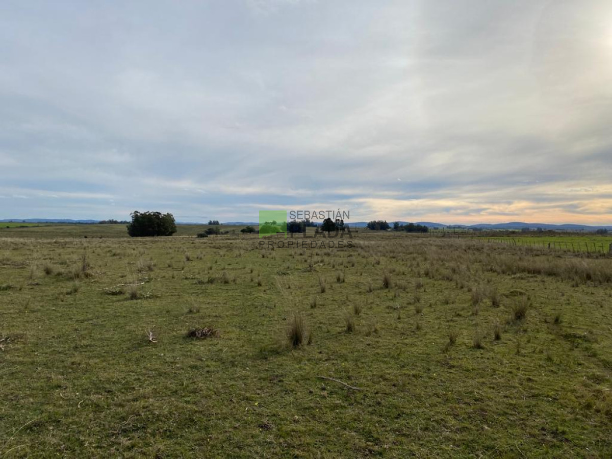 Chacra ID.976 - Fracción de 17 Hás. en Paraje José Ignacio.