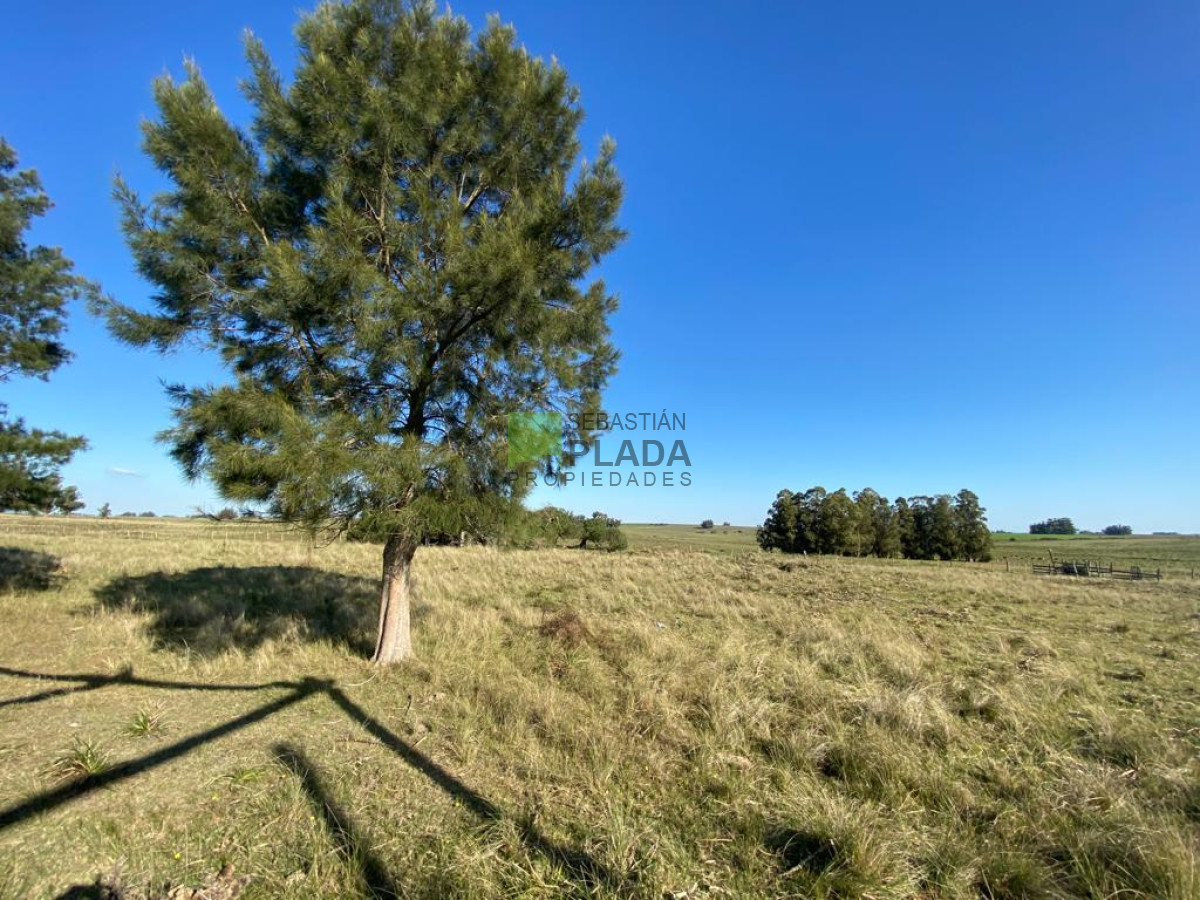 Chacra ID.976 - Fracción de 17 Hás. en Paraje José Ignacio.