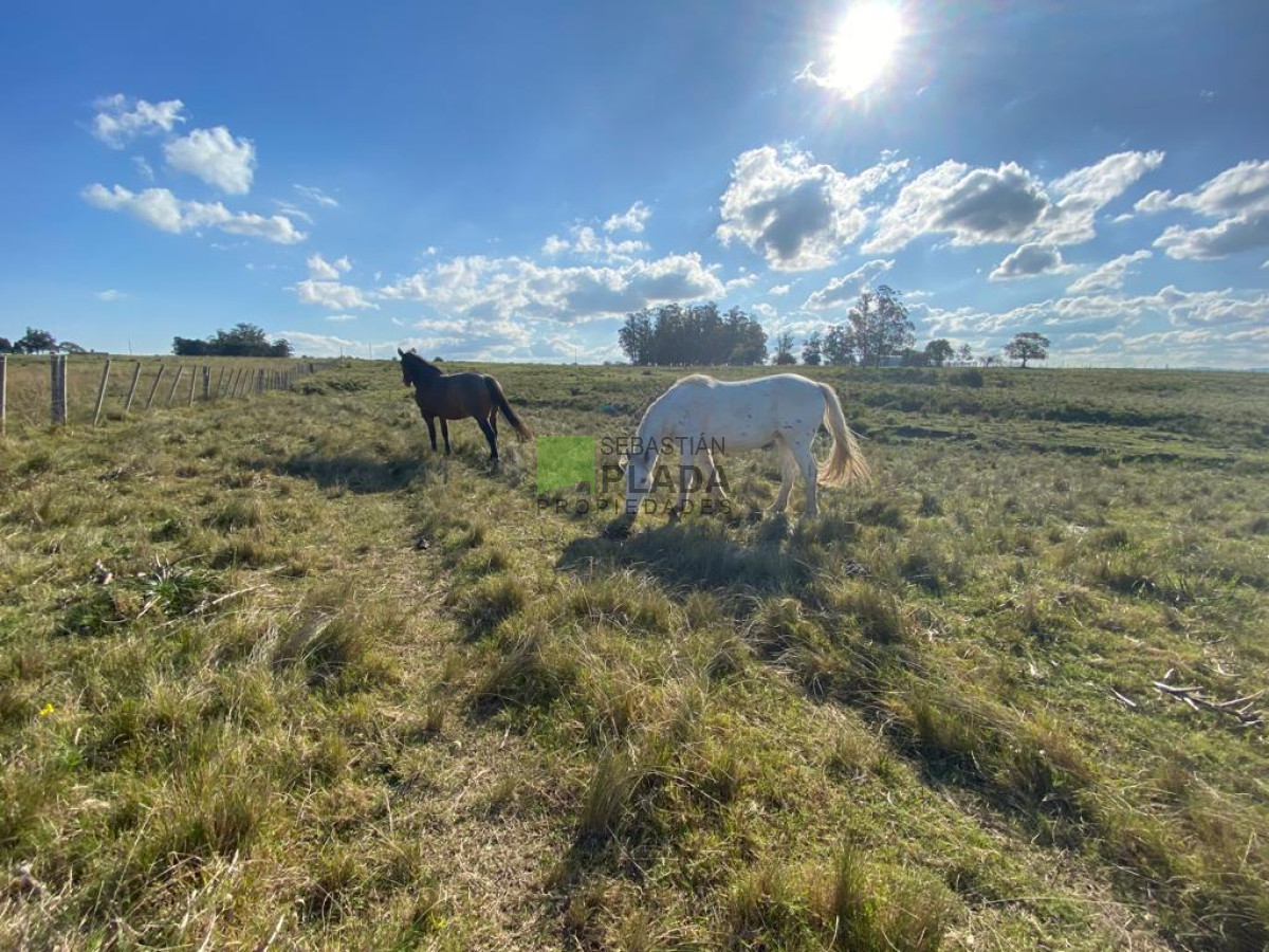 Chacra ID.976 - Fracción de 17 Hás. en Paraje José Ignacio.