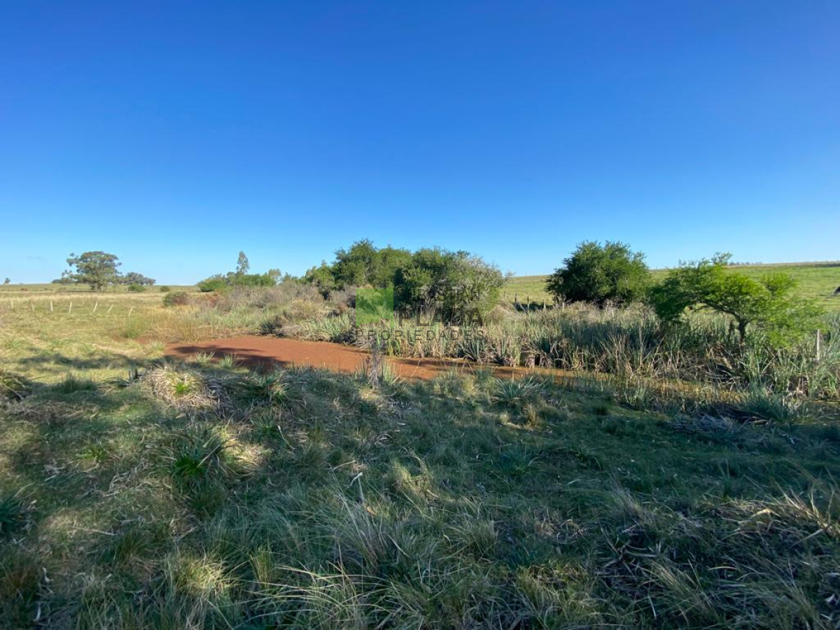 Chacra ID.976 - Fracción de 17 Hás. en Paraje José Ignacio.