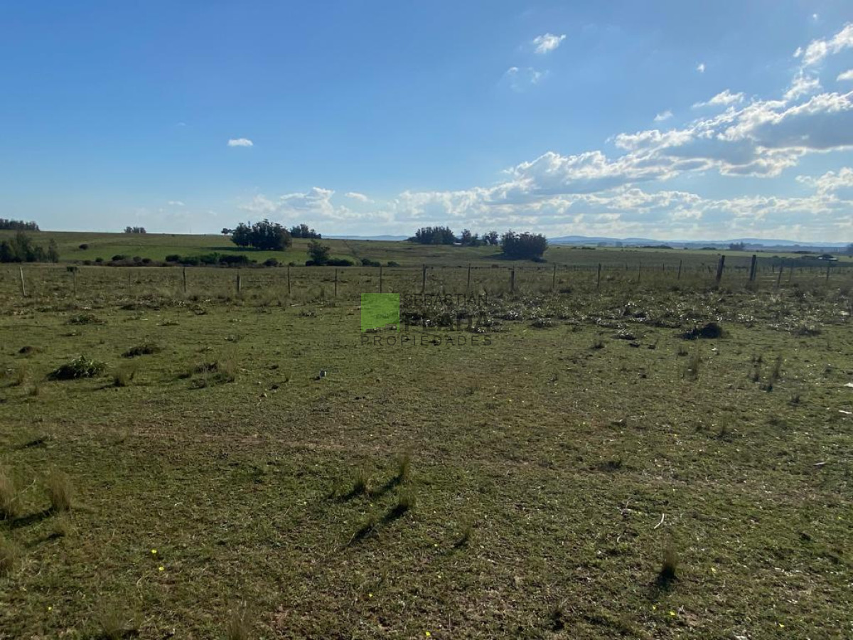 Chacra ID.976 - Fracción de 17 Hás. en Paraje José Ignacio.