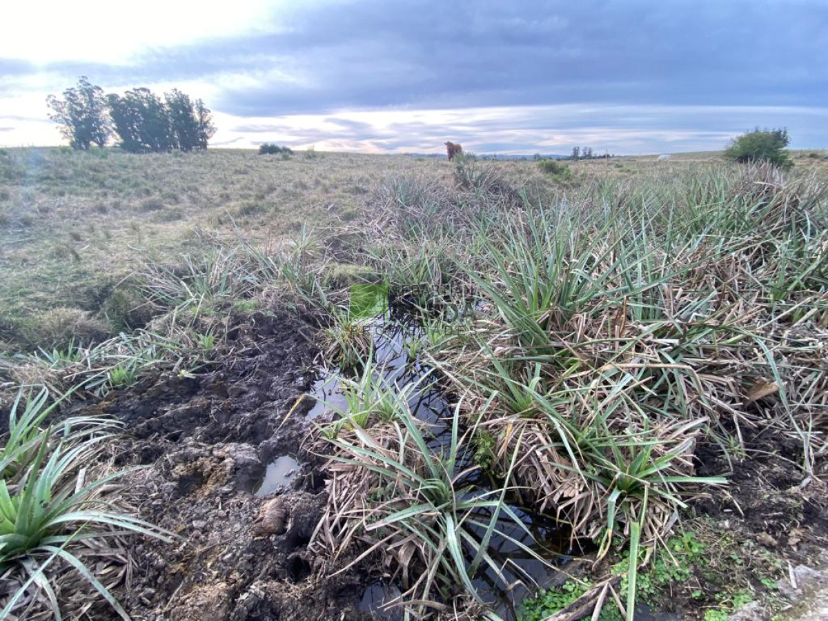 Chacra ID.976 - Fracción de 17 Hás. en Paraje José Ignacio.