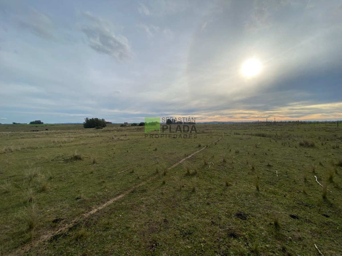 Chacra ID.976 - Fracción de 17 Hás. en Paraje José Ignacio.
