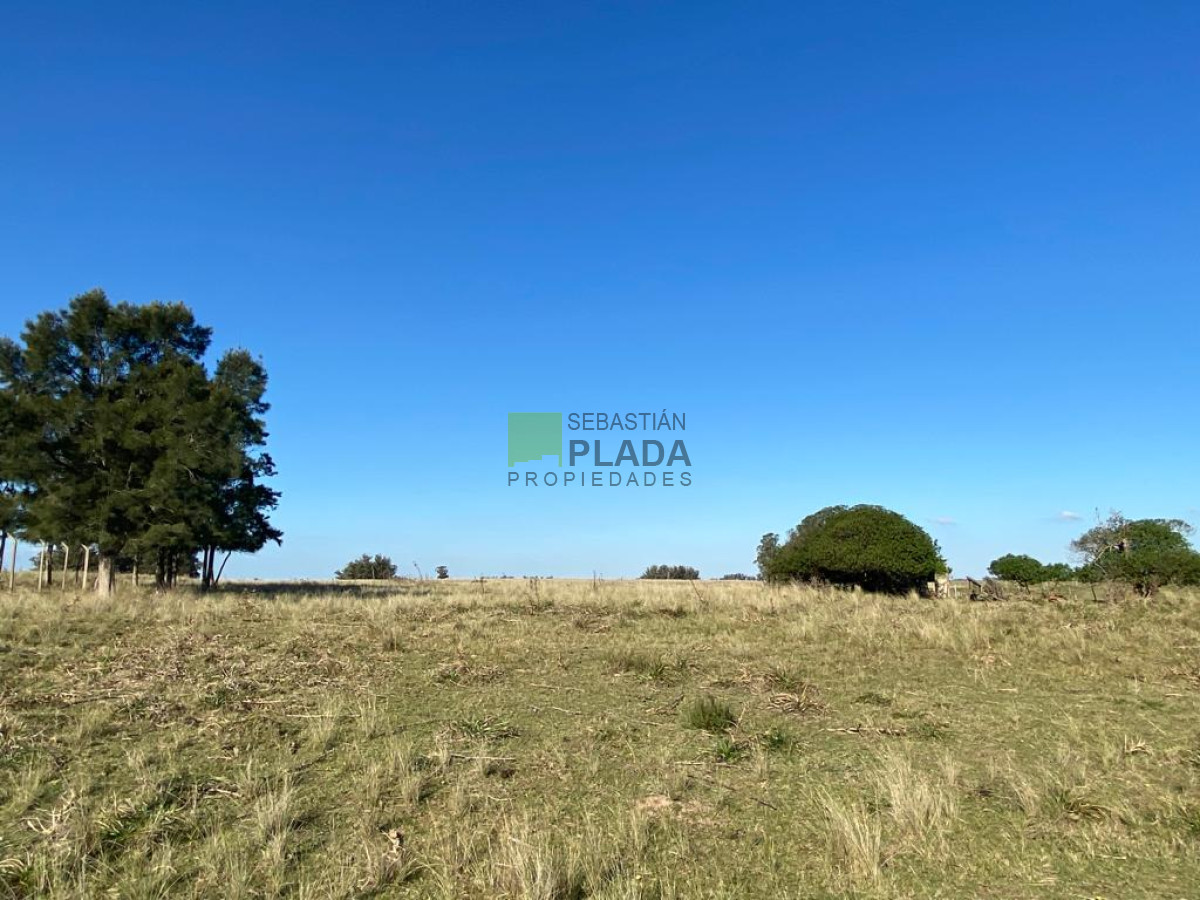 Chacra ID.976 - Fracción de 17 Hás. en Paraje José Ignacio.