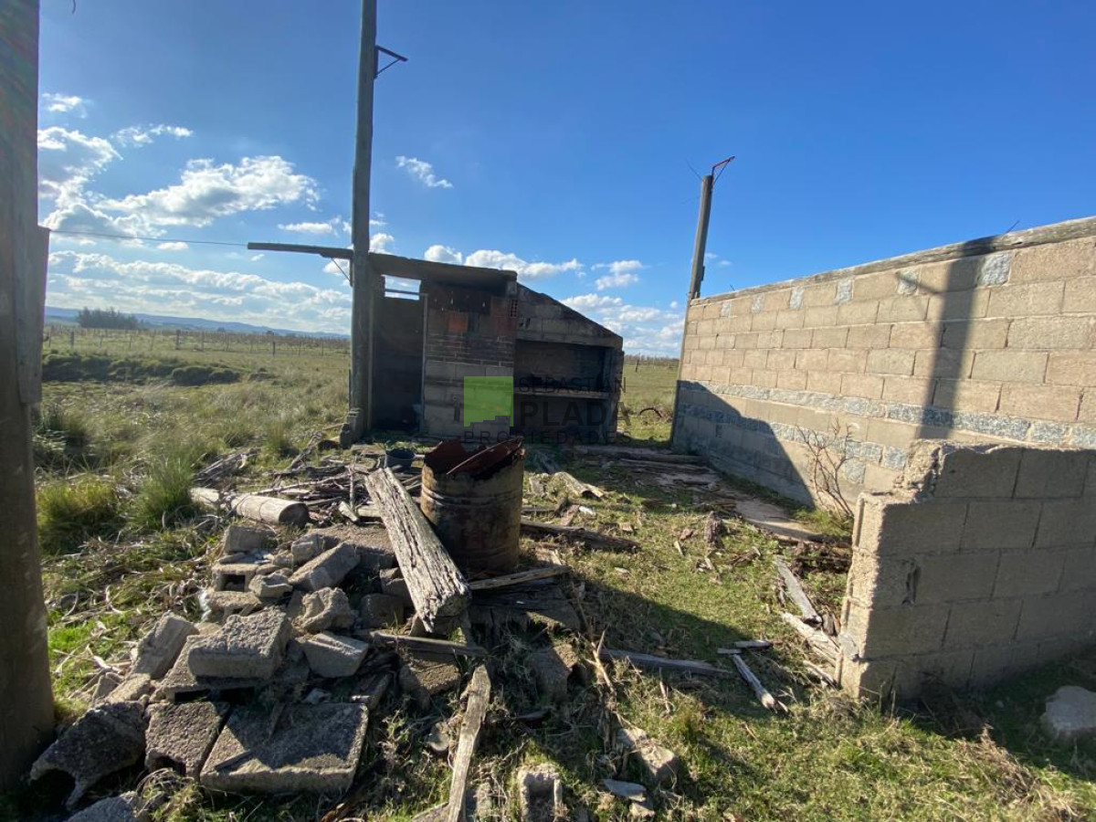 Chacra ID.976 - Fracción de 17 Hás. en Paraje José Ignacio.