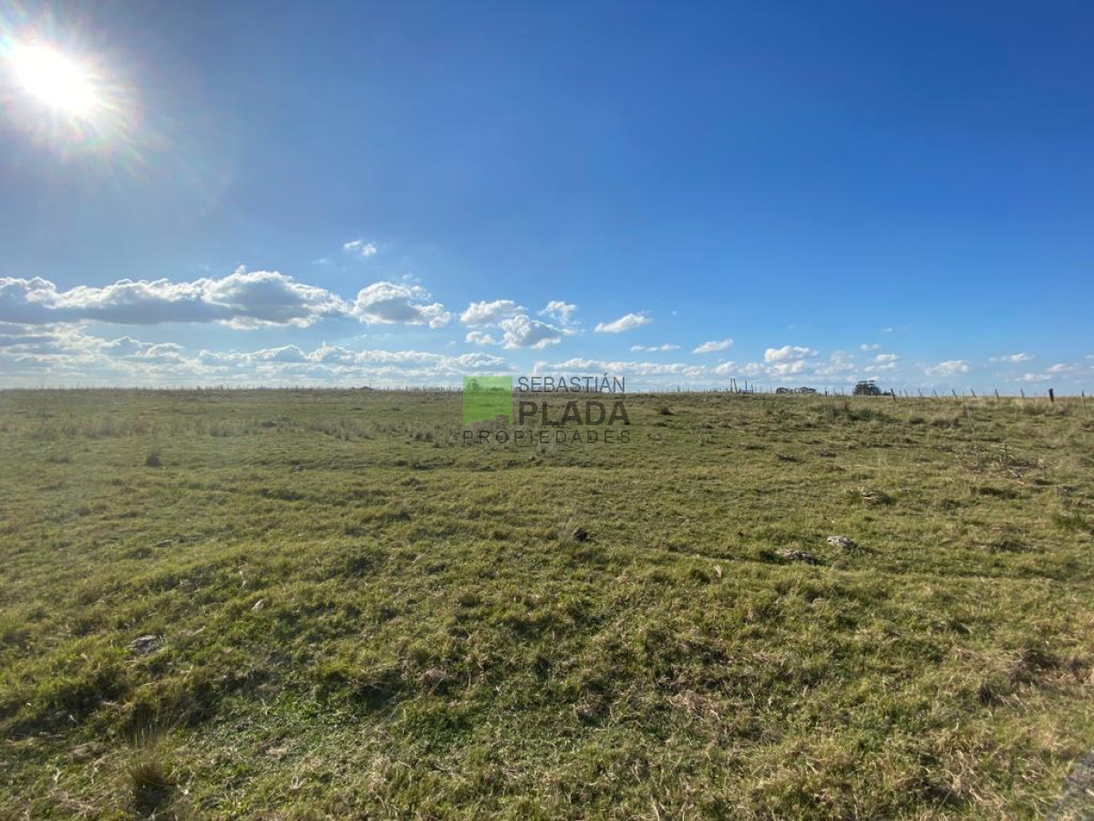 Chacra ID.976 - Fracción de 17 Hás. en Paraje José Ignacio.