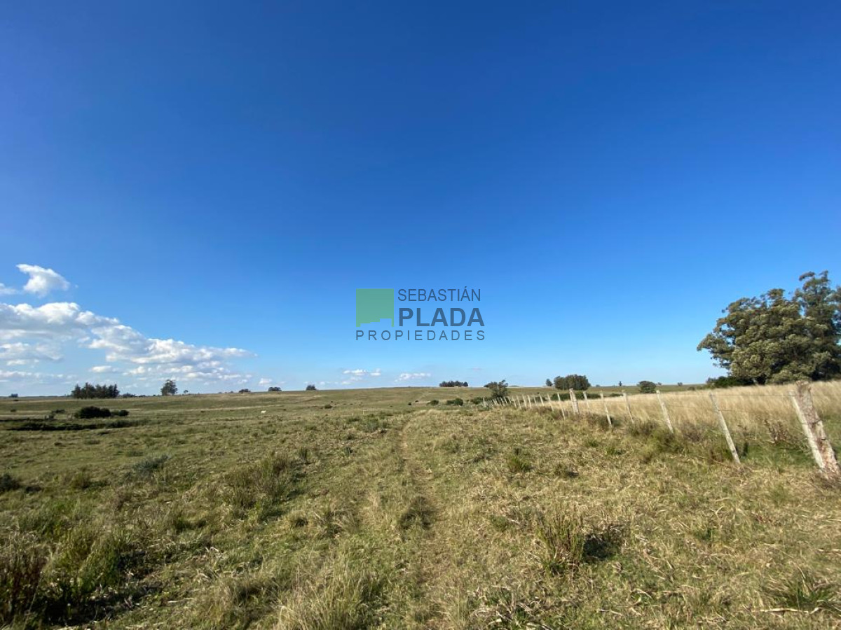 Chacra ID.976 - Fracción de 17 Hás. en Paraje José Ignacio.