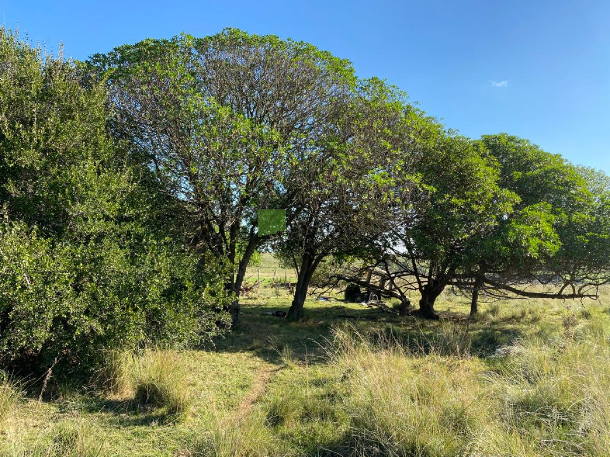 Chacra ID.976 - Fracción de 17 Hás. en Paraje José Ignacio.