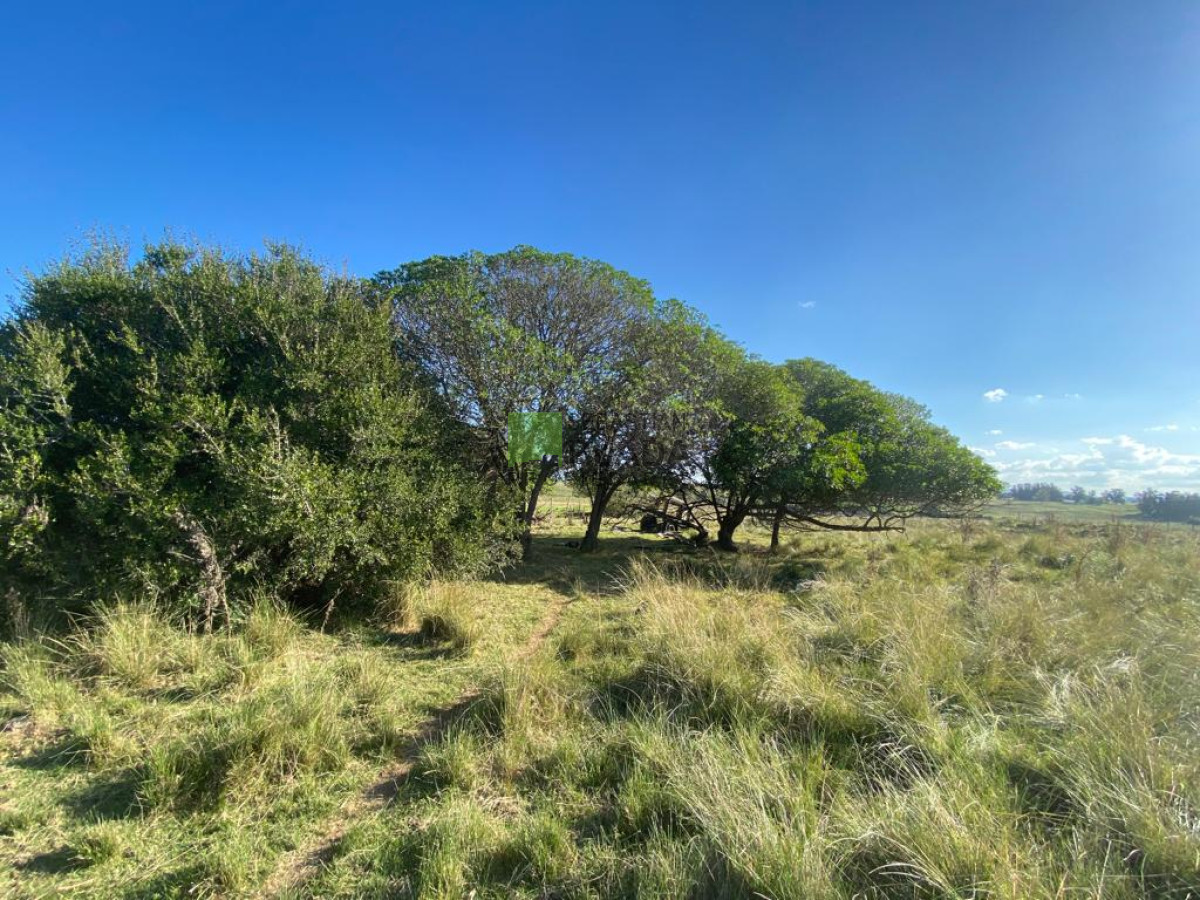 Chacra ID.976 - Fracción de 17 Hás. en Paraje José Ignacio.