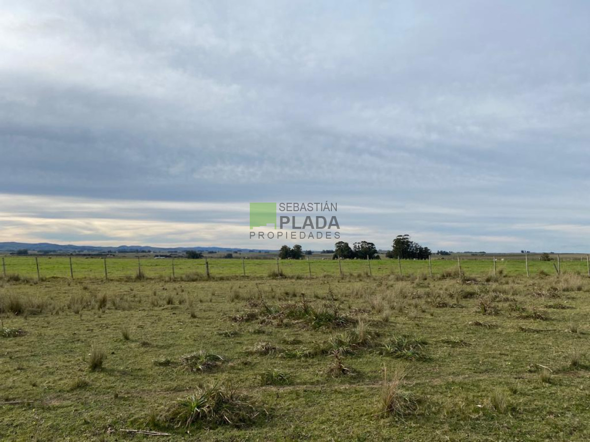 Chacra ID.976 - Fracción de 17 Hás. en Paraje José Ignacio.