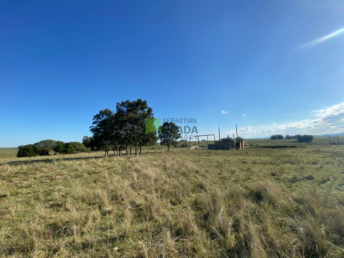 Chacra ID.976 - Fracción de 17 Hás. en Paraje José Ignacio.