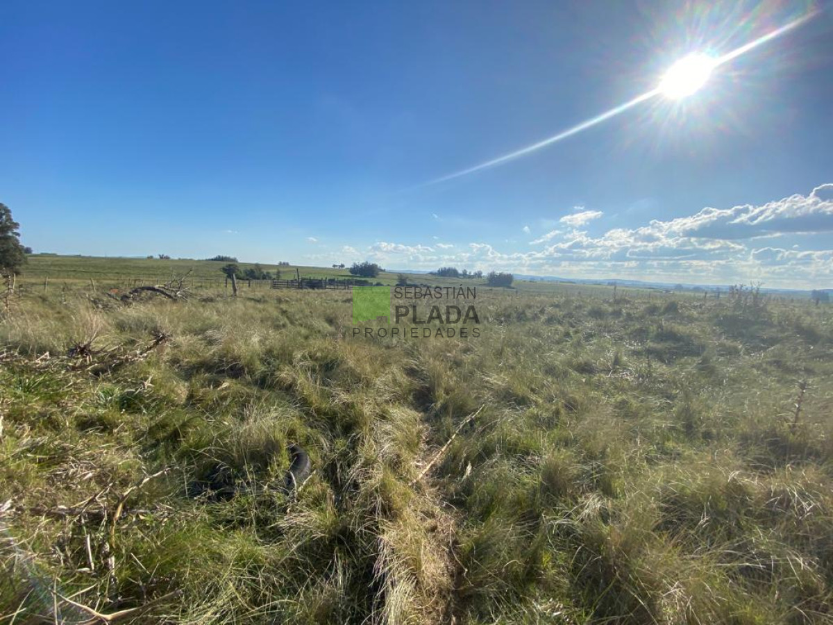 Chacra ID.976 - Fracción de 17 Hás. en Paraje José Ignacio.