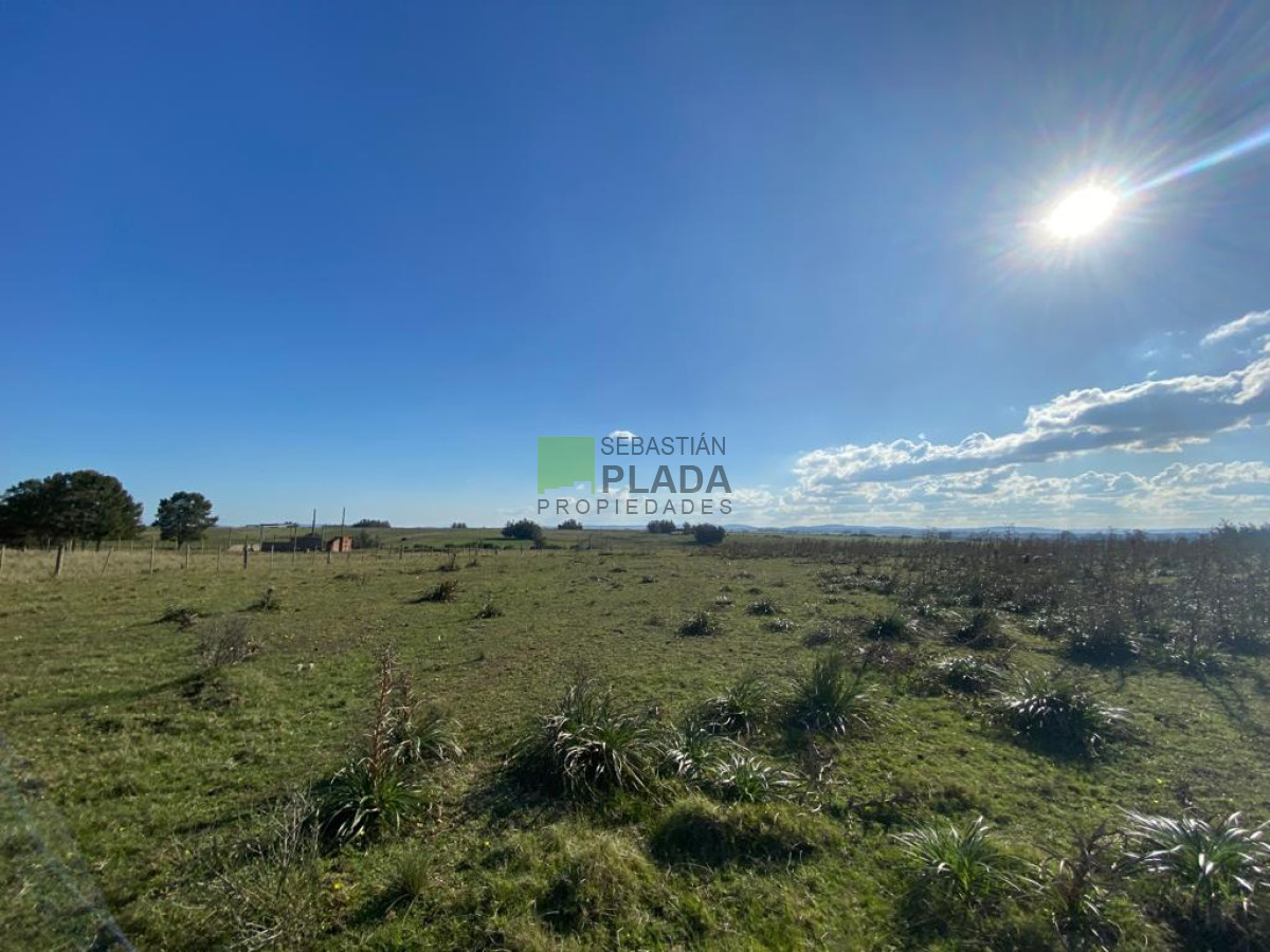 Chacra ID.976 - Fracción de 17 Hás. en Paraje José Ignacio.