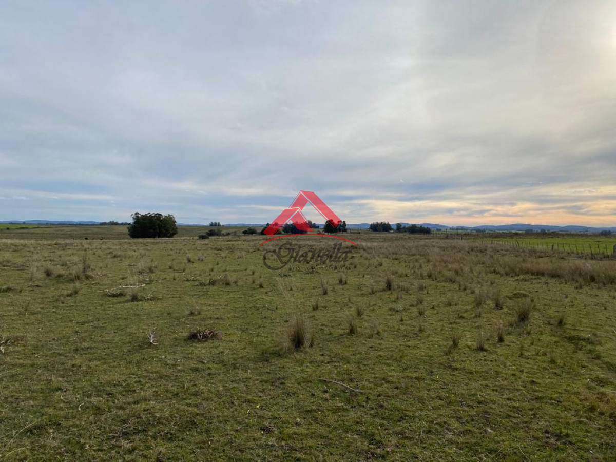 Chacra ID.1805 - Cañada Bellaca