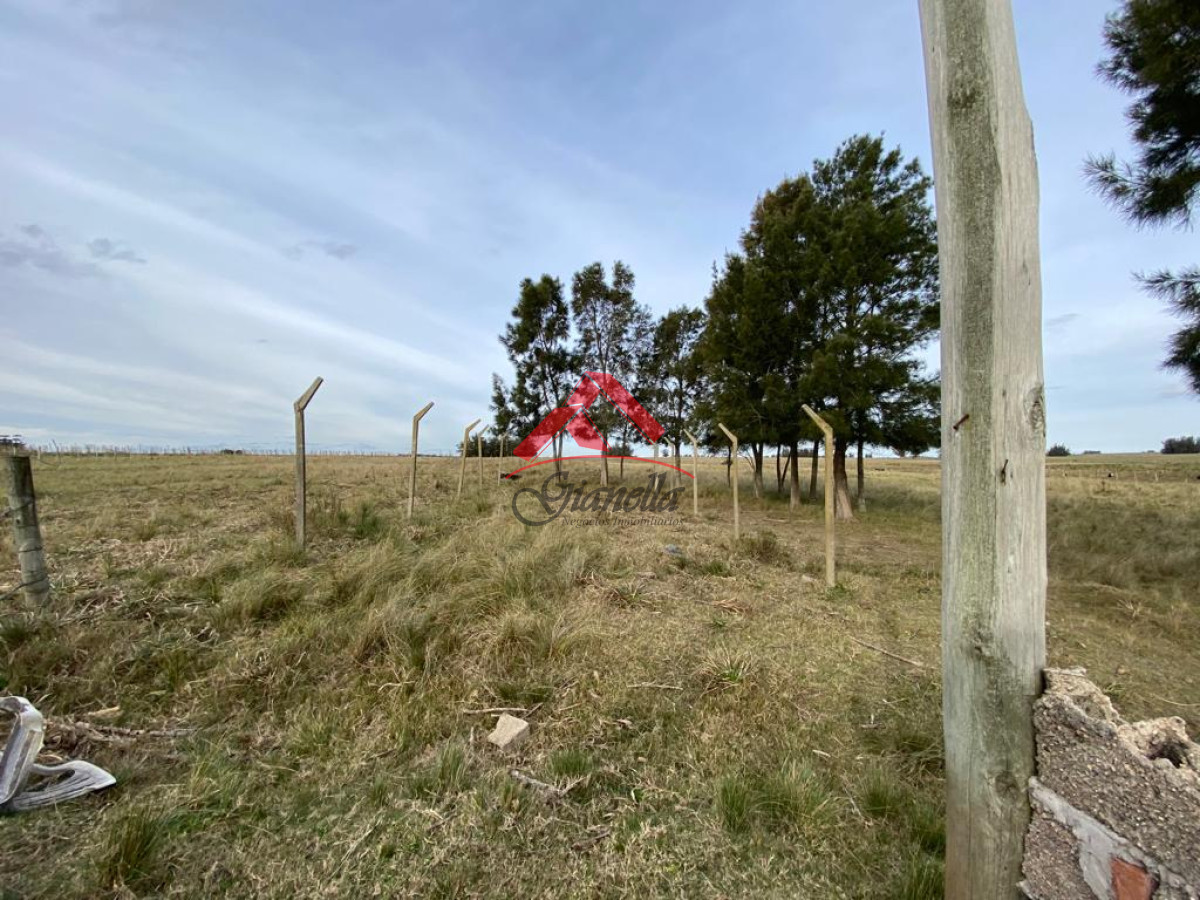 Chacra ID.1805 - Cañada Bellaca