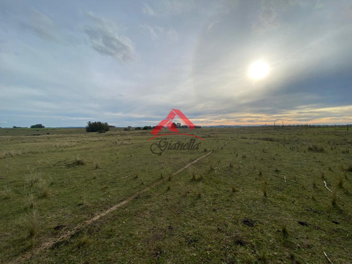Chacra ID.1805 - Cañada Bellaca