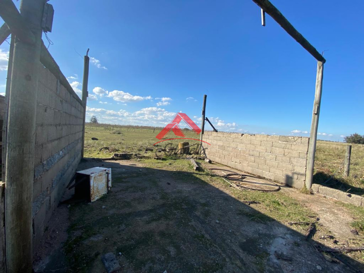 Chacra ID.1805 - Cañada Bellaca