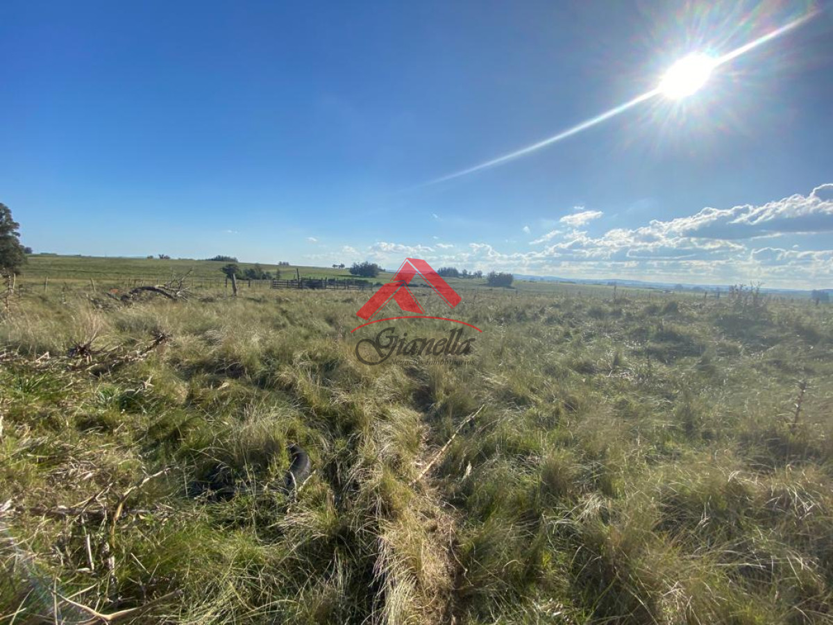 Chacra ID.1805 - Cañada Bellaca