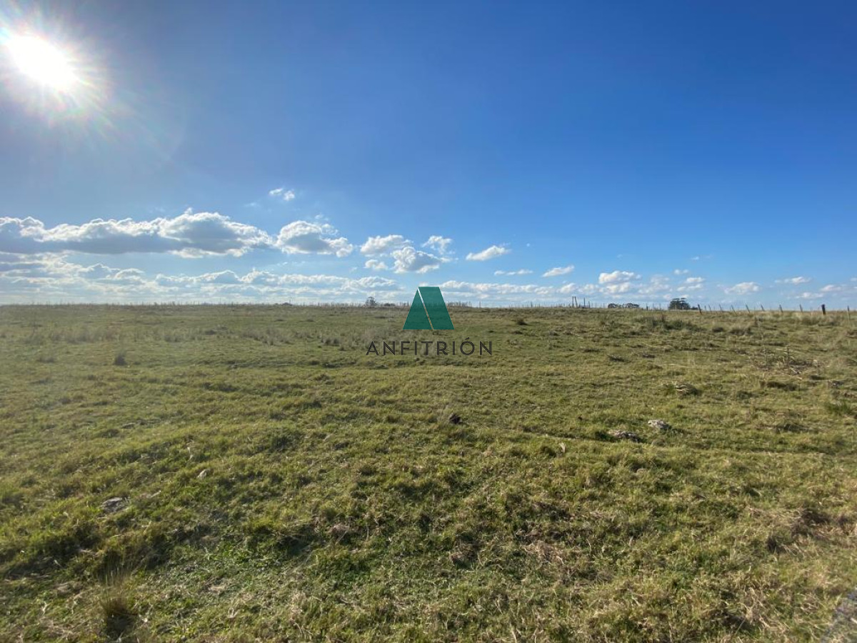Chacra ID.381 - CAÑADA BELLACA