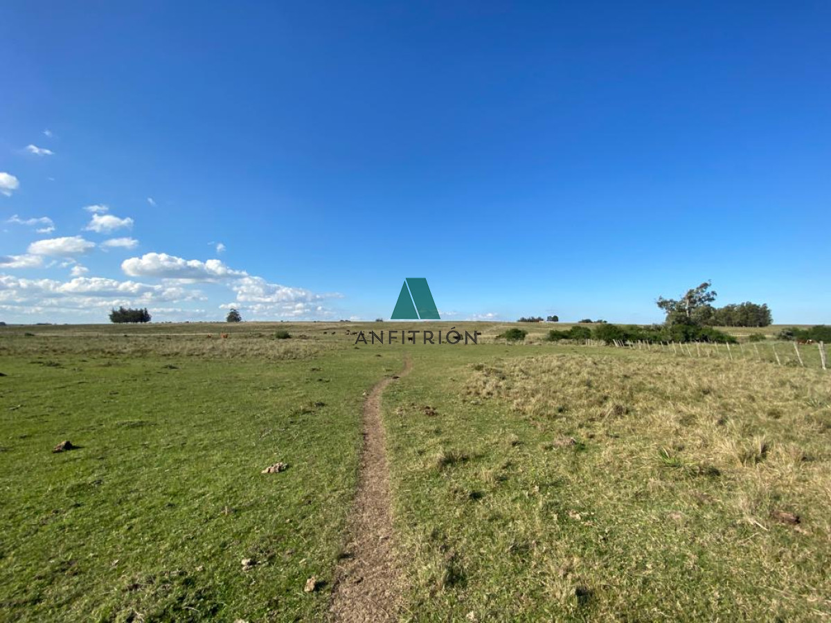 Chacra ID.381 - CAÑADA BELLACA