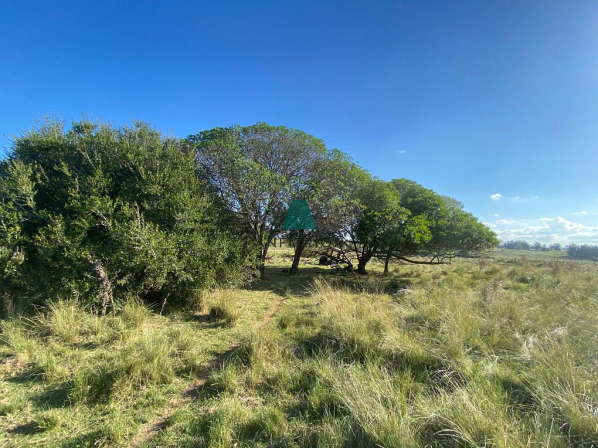 Chacra ID.381 - CAÑADA BELLACA