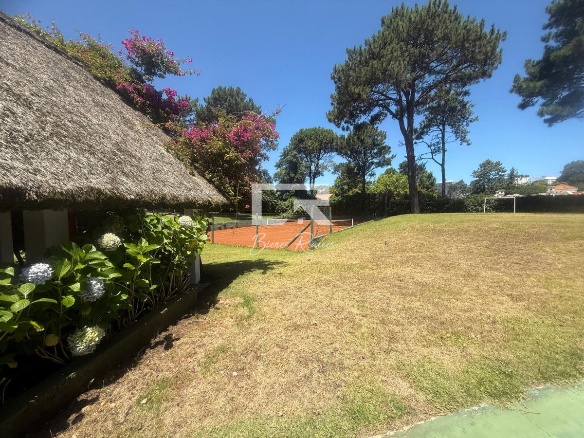 Casa ID.839 - GREEN GRASS