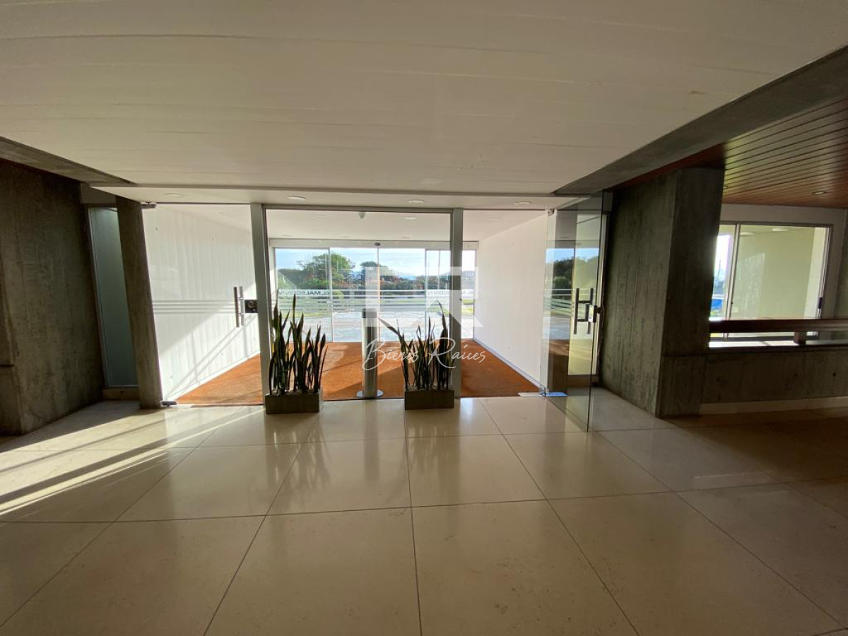 Apartamento ID.230 - Malecón IV 
