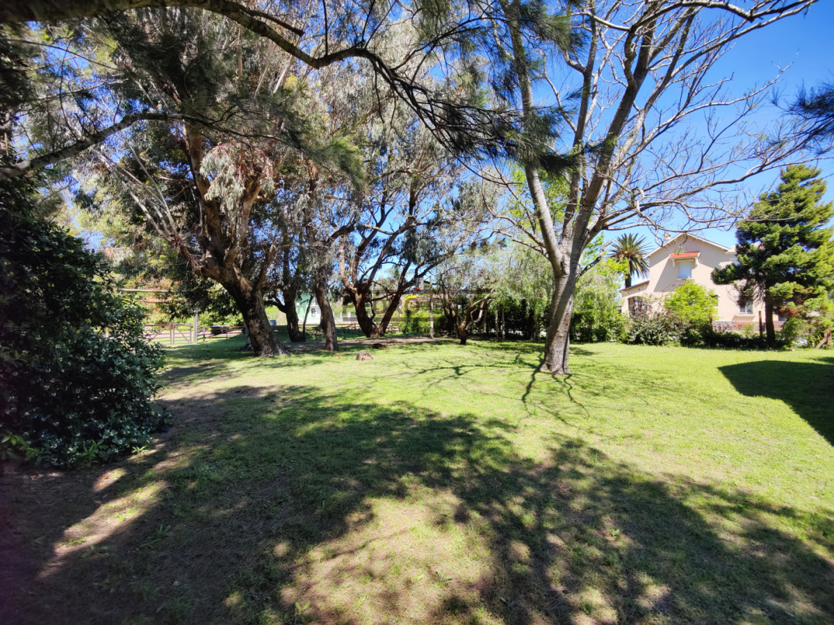 Piriápolis - GoPunta - Portal Inmobiliario de Punta del Este - Maldonado