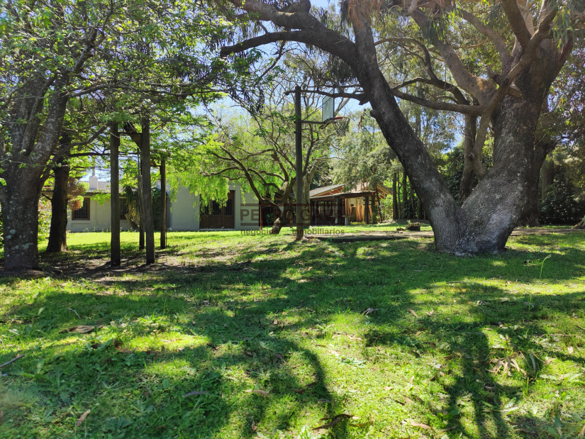 Piriápolis - GoPunta - Portal Inmobiliario de Punta del Este - Maldonado