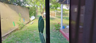 Casa ID.299 - Venta de Casas en Padrón Único en Piriápolis, Balneario San Francisco - Inmobiliaria Pedro Gava