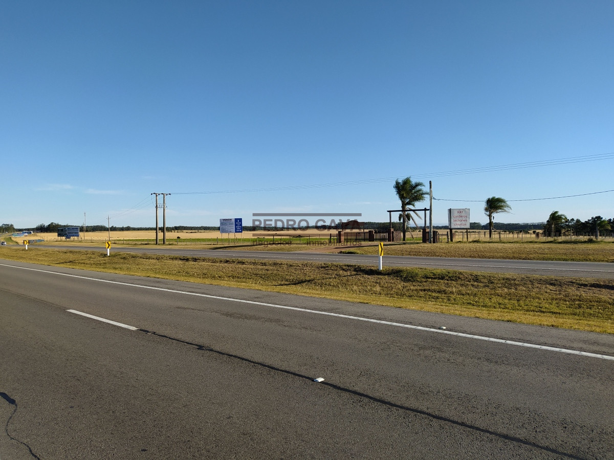 Chacra ID.164 - 36 Hectáreas a la venta a solo 25 km de Punta del Este.