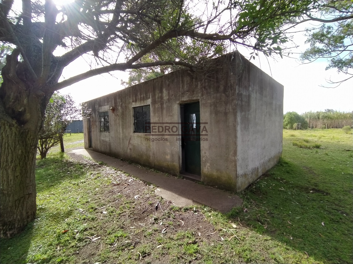 Zona Rural - GoPunta - Portal Inmobiliario de Punta del Este - Maldonado