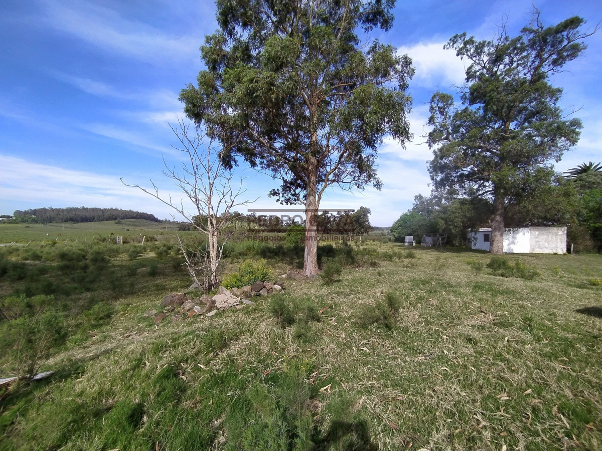 Zona Rural - GoPunta - Portal Inmobiliario de Punta del Este - Maldonado