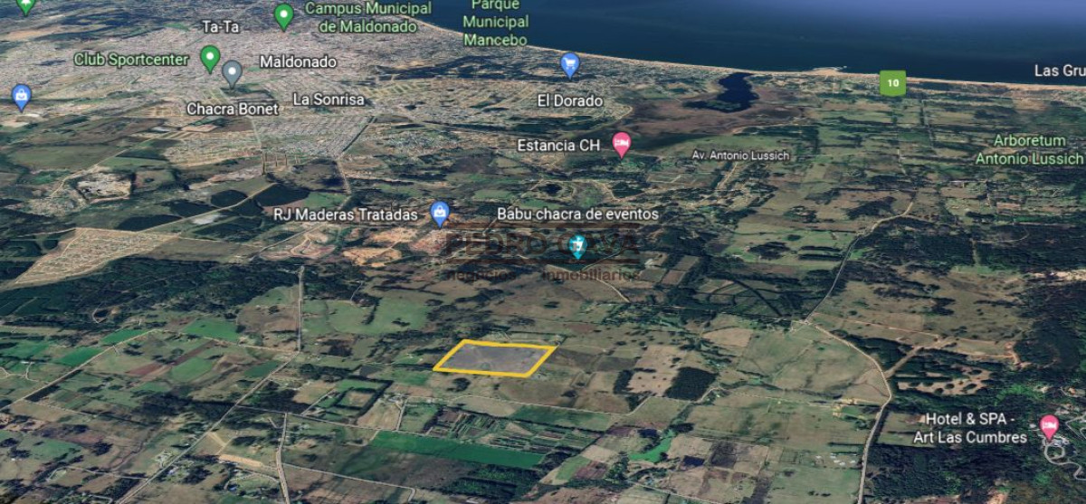 Chacra ID.160 - Muy proxima a Punta Ballena y Punta del Este, chacra a la venta de casi 6 hectáreas.