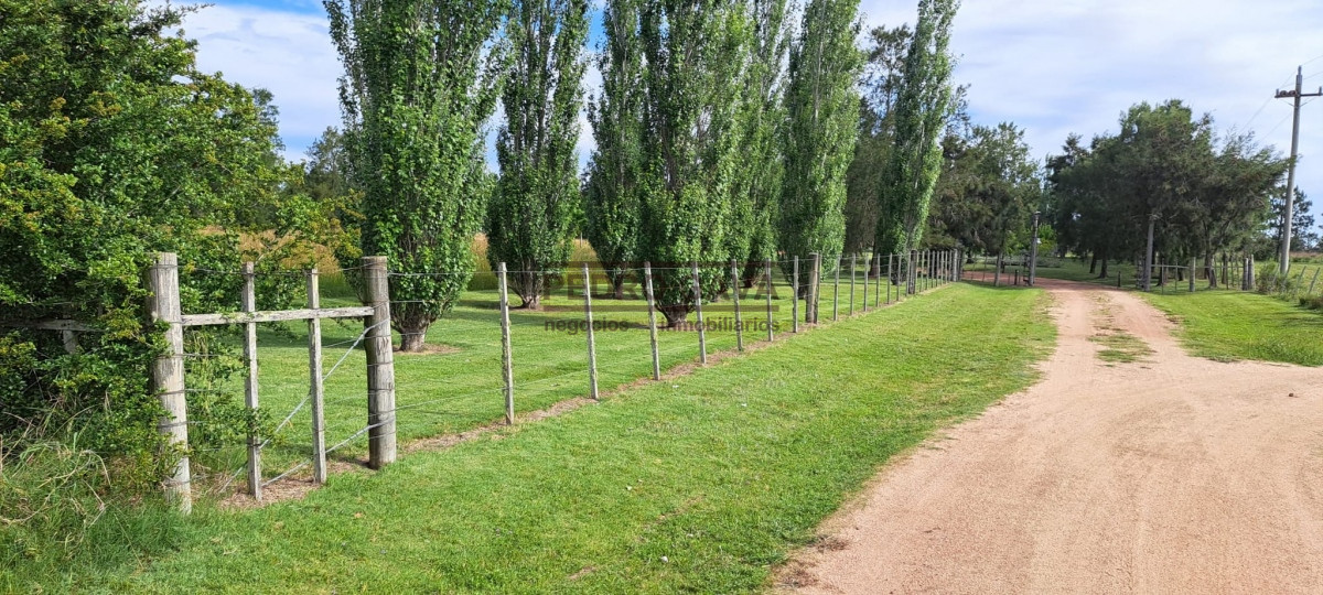 Chacra ID.160 - Muy proxima a Punta Ballena y Punta del Este, chacra a la venta de casi 6 hectáreas.