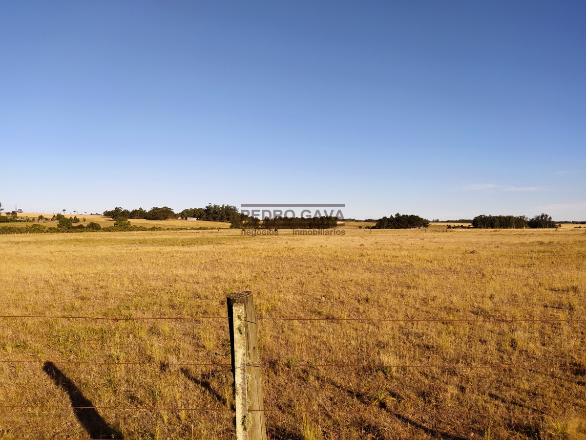 Chacra ID.164 - 36 Hectáreas a la venta a solo 25 km de Punta del Este.