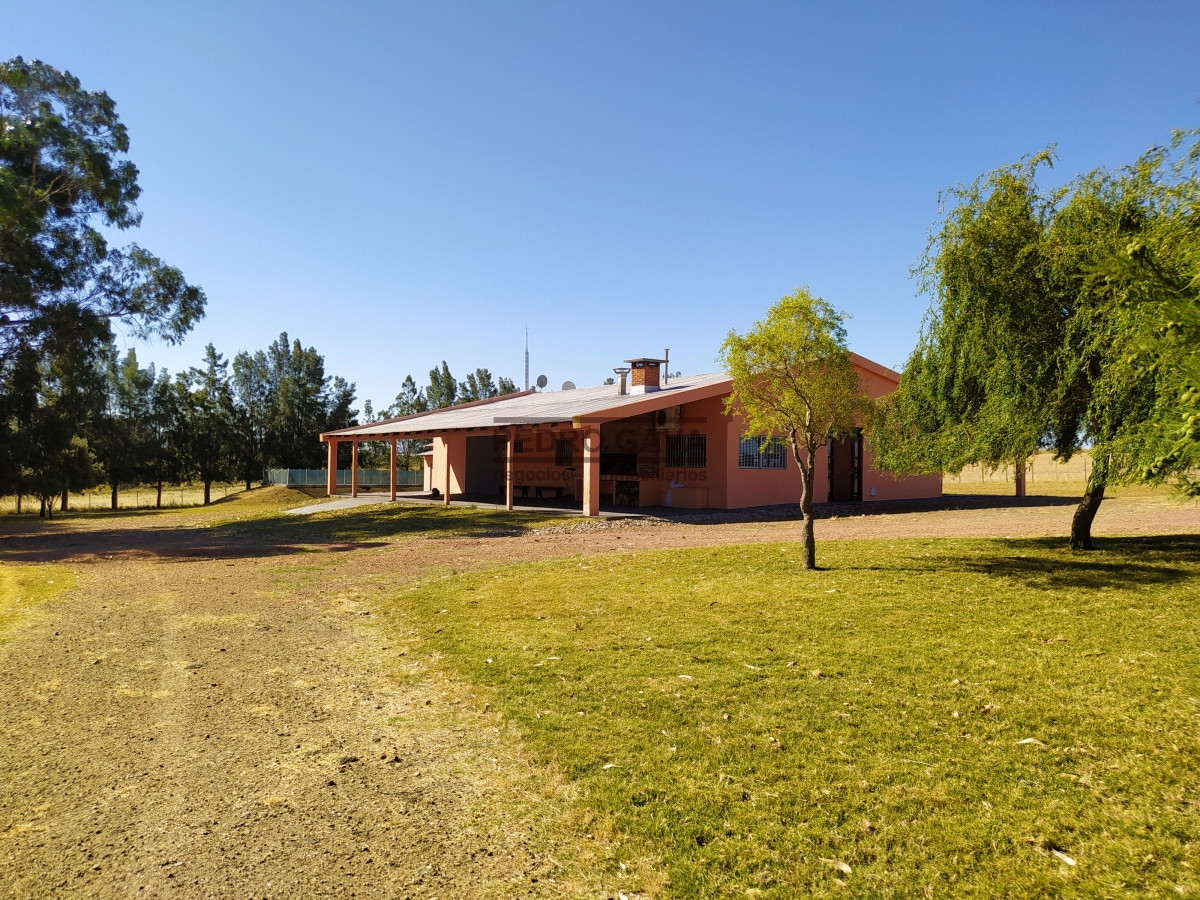 Chacra ID.164 - 36 Hectáreas a la venta a solo 25 km de Punta del Este.