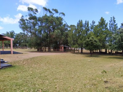 Chacra ID.164 - 36 Hectáreas a la venta a solo 25 km de Punta del Este.